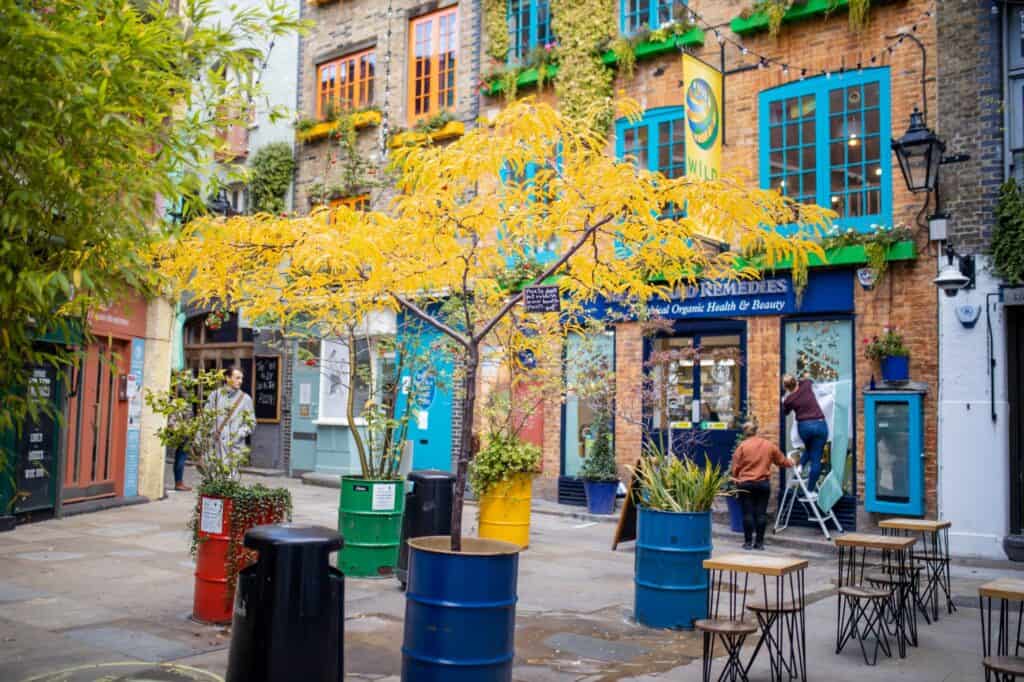 A colourful cafe with trees and plants